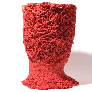 Moss Vase - Matt Sorbet And Fluo Yellow