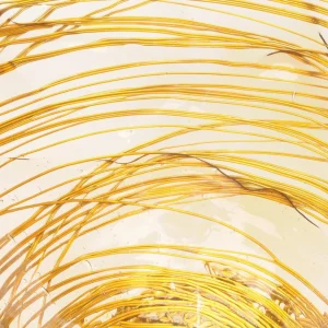 Ogiva Vase - Clear And Gold
