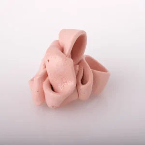 Ribbon Ring - Matt Salmon