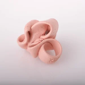 Ribbon Ring - Matt Salmon