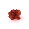 Spaghetti Ring - Clear Ruby