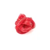 Spaghetti Ring - Matt Red, Clear