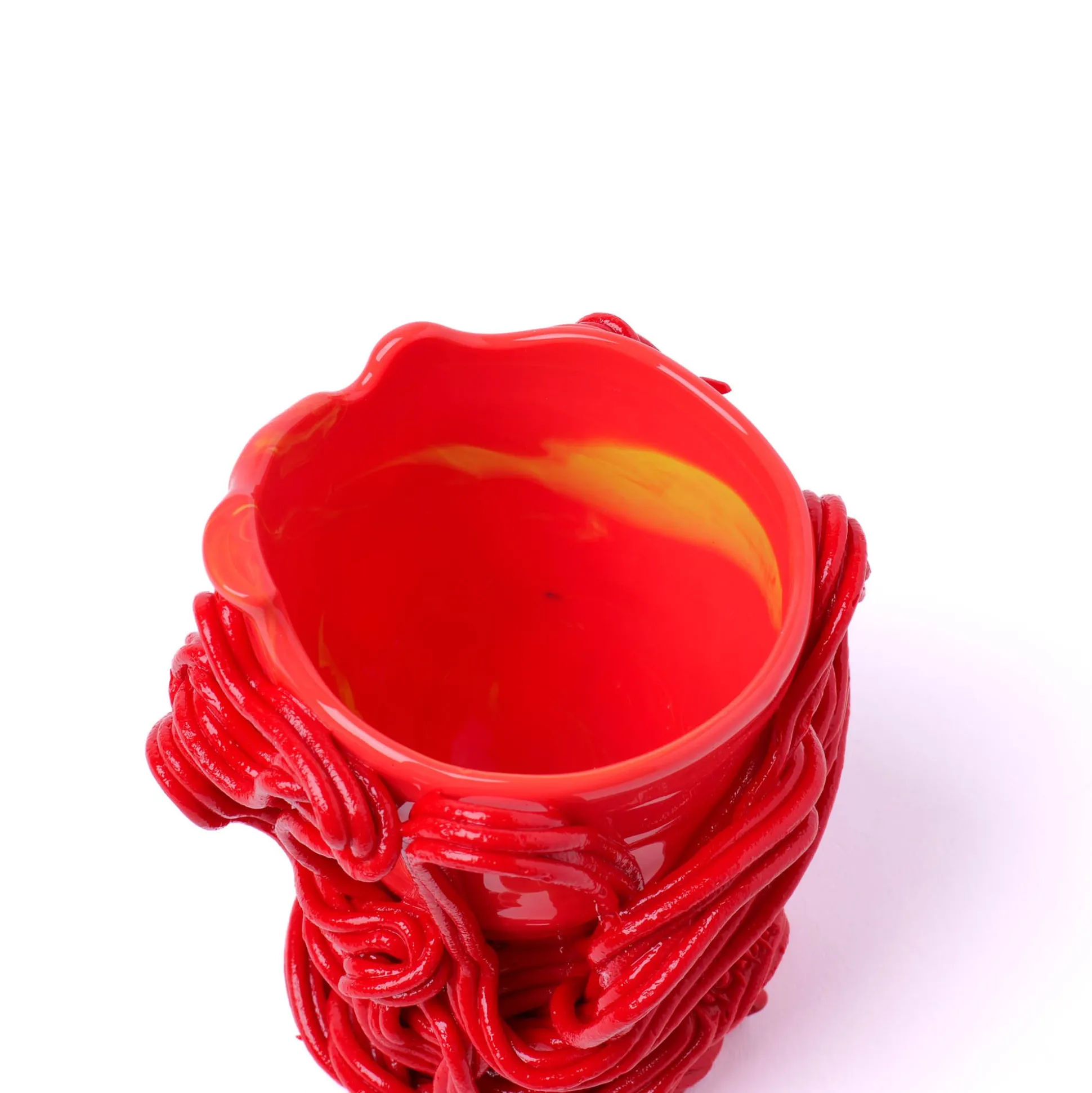 spaghetti_special_xs__mat_11.webp Spaghetti Special XS - Matt Coral