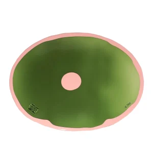 Table-Mates - RO Clear Bottle Green, Salmon