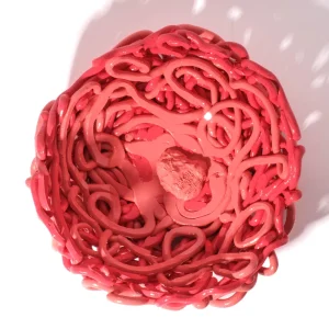 Tutti Frutti II Special Basket - Red Sorbet, Dark Salmon
